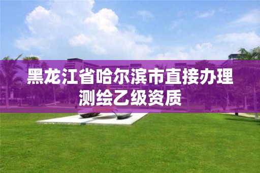 黑龍江省哈爾濱市直接辦理測繪乙級資質