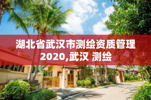 湖北省武漢市測繪資質管理2020,武漢 測繪