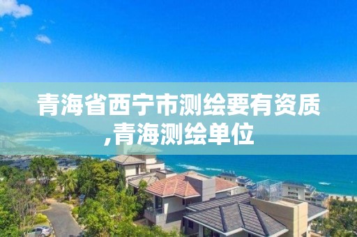 青海省西寧市測繪要有資質(zhì),青海測繪單位