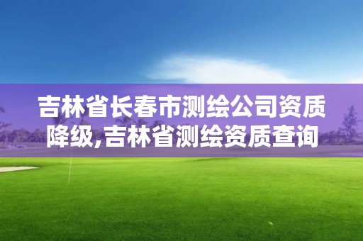 吉林省長春市測繪公司資質(zhì)降級(jí),吉林省測繪資質(zhì)查詢