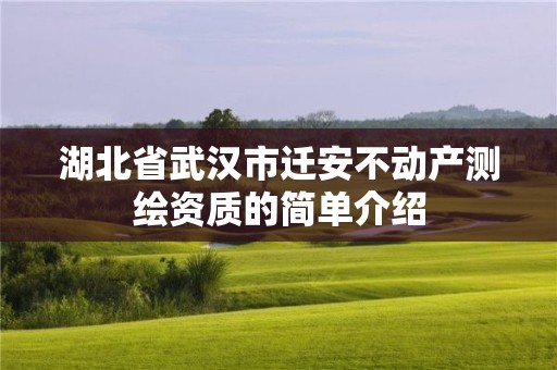 湖北省武漢市遷安不動產(chǎn)測繪資質(zhì)的簡單介紹