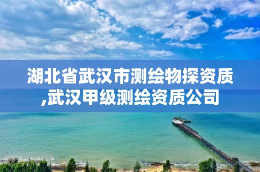 湖北省武漢市測繪物探資質(zhì),武漢甲級測繪資質(zhì)公司