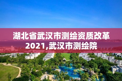 湖北省武漢市測繪資質改革2021,武漢市測繪院