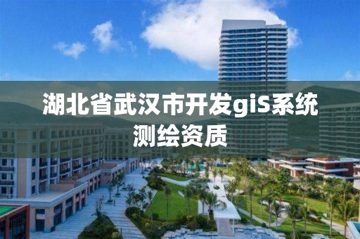 湖北省武漢市開發giS系統測繪資質