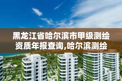 黑龍江省哈爾濱市甲級測繪資質年報查詢,哈爾濱測繪院地址