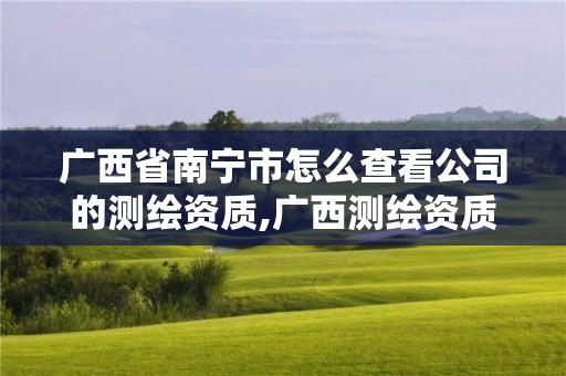 廣西省南寧市怎么查看公司的測繪資質,廣西測繪資質單位