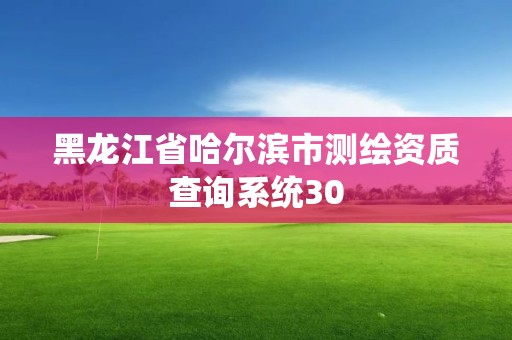 黑龍江省哈爾濱市測繪資質查詢系統30