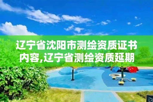 遼寧省沈陽市測繪資質證書內容,遼寧省測繪資質延期。