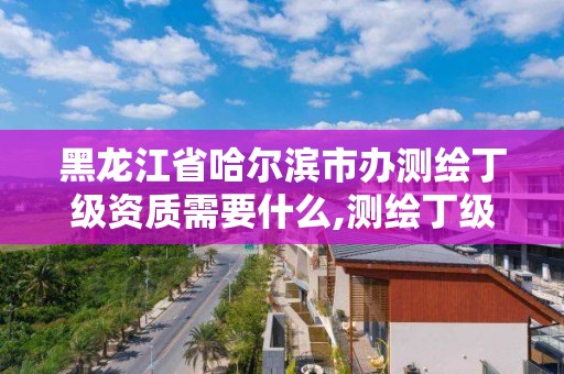 黑龍江省哈爾濱市辦測繪丁級資質需要什么,測繪丁級資質承接范圍。