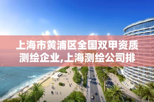 上海市黃浦區(qū)全國雙甲資質(zhì)測繪企業(yè),上海測繪公司排名名單。