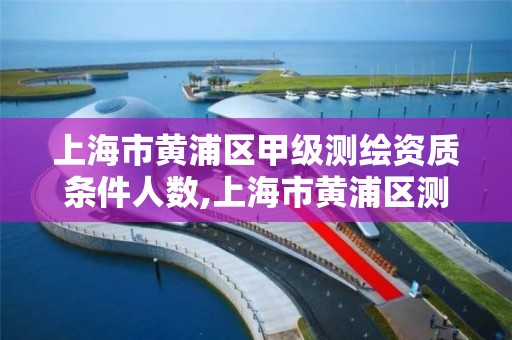 上海市黃浦區甲級測繪資質條件人數,上海市黃浦區測繪中心