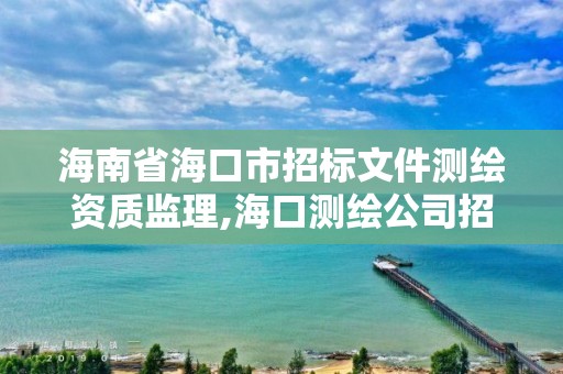 海南省海口市招標文件測繪資質(zhì)監(jiān)理,海口測繪公司招聘