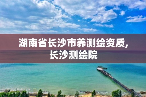 湖南省長沙市養測繪資質,長沙測繪院