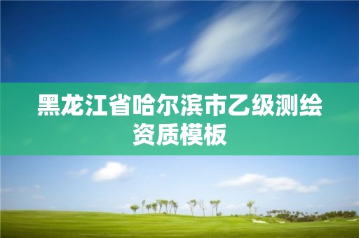 黑龍江省哈爾濱市乙級測繪資質模板