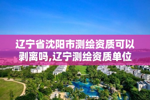 遼寧省沈陽市測繪資質可以剝離嗎,遼寧測繪資質單位