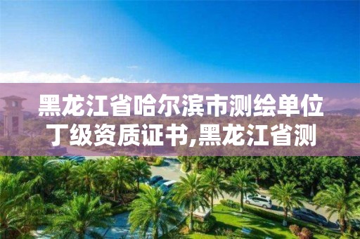 黑龍江省哈爾濱市測繪單位丁級資質證書,黑龍江省測繪資質延期通知。