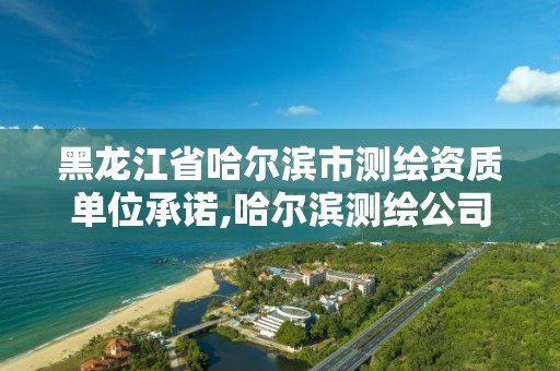 黑龍江省哈爾濱市測繪資質(zhì)單位承諾,哈爾濱測繪公司招聘