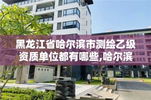 黑龍江省哈爾濱市測(cè)繪乙級(jí)資質(zhì)單位都有哪些,哈爾濱甲級(jí)測(cè)繪公司。