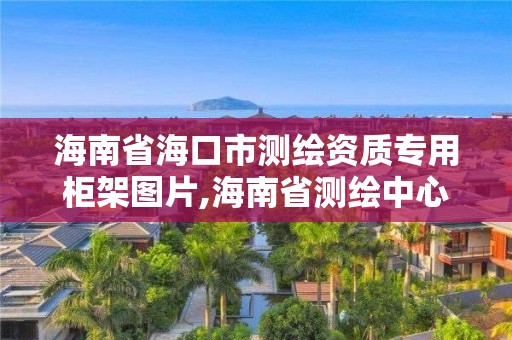 海南省海口市測繪資質專用柜架圖片,海南省測繪中心