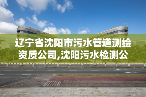 遼寧省沈陽市污水管道測繪資質公司,沈陽污水檢測公司。