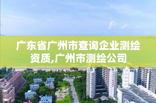 廣東省廣州市查詢企業測繪資質,廣州市測繪公司