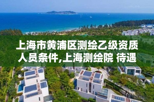 上海市黃浦區測繪乙級資質人員條件,上海測繪院 待遇