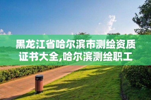 黑龍江省哈爾濱市測繪資質證書大全,哈爾濱測繪職工中等專業學校。