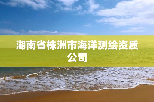 湖南省株洲市海洋測繪資質公司