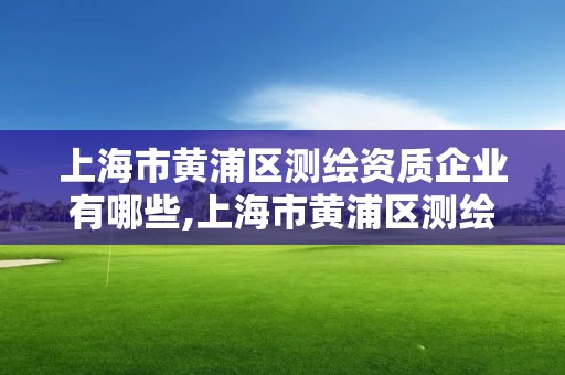 上海市黃浦區測繪資質企業有哪些,上海市黃浦區測繪中心。