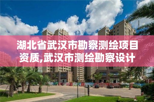 湖北省武漢市勘察測繪項目資質,武漢市測繪勘察設計甲級資質公司