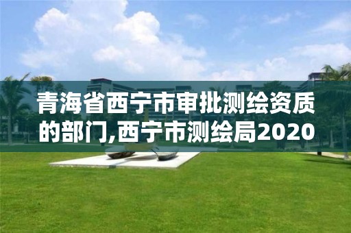 青海省西寧市審批測繪資質的部門,西寧市測繪局2020招聘