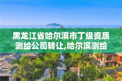 黑龍江省哈爾濱市丁級資質測繪公司轉讓,哈爾濱測繪公司哪家好