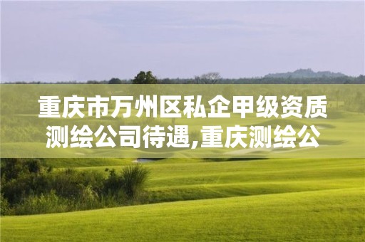 重慶市萬州區私企甲級資質測繪公司待遇,重慶測繪公司推薦。