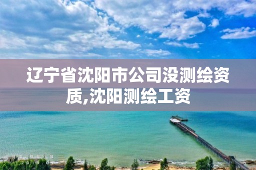 遼寧省沈陽市公司沒測繪資質,沈陽測繪工資