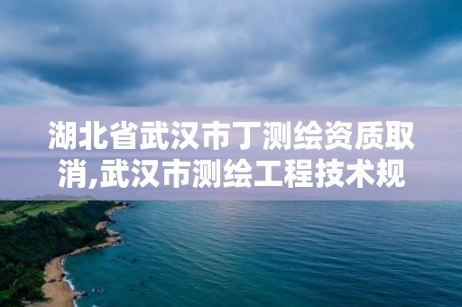 湖北省武漢市丁測(cè)繪資質(zhì)取消,武漢市測(cè)繪工程技術(shù)規(guī)定