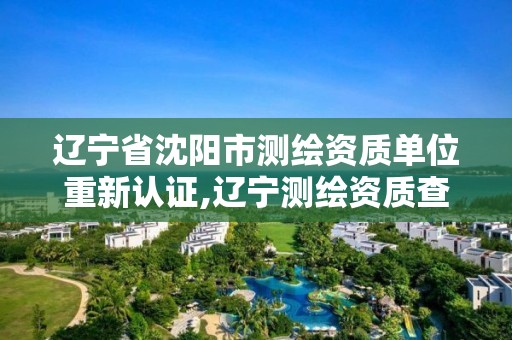 遼寧省沈陽市測繪資質單位重新認證,遼寧測繪資質查詢