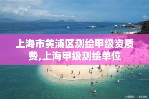 上海市黃浦區測繪甲級資質費,上海甲級測繪單位