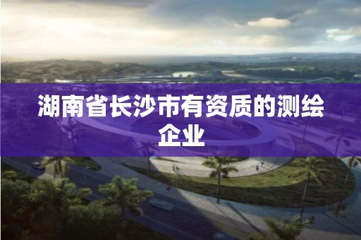 湖南省長沙市有資質(zhì)的測繪企業(yè)