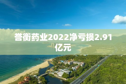 譽衡藥業2022凈虧損2.91億元