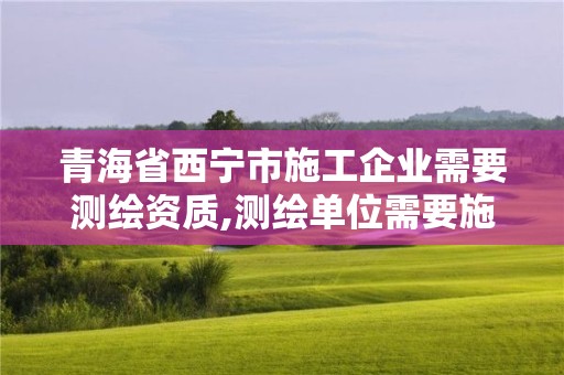 青海省西寧市施工企業需要測繪資質,測繪單位需要施工企業安全許可證