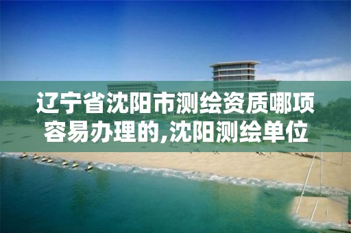 遼寧省沈陽市測繪資質哪項容易辦理的,沈陽測繪單位排名