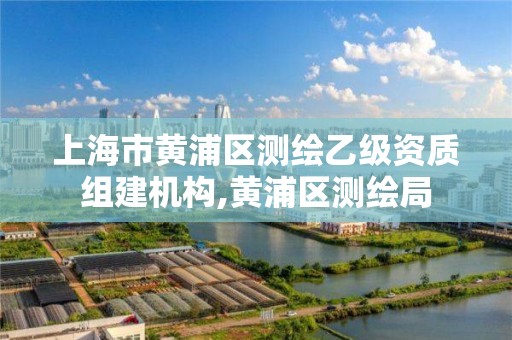 上海市黃浦區測繪乙級資質組建機構,黃浦區測繪局