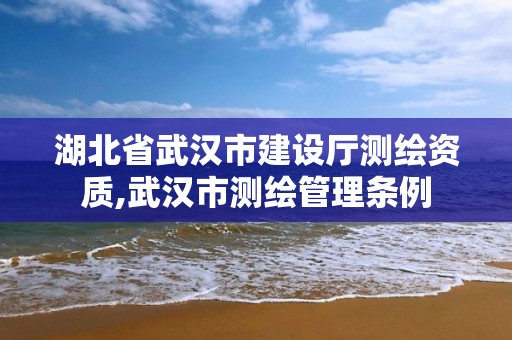 湖北省武漢市建設廳測繪資質,武漢市測繪管理條例