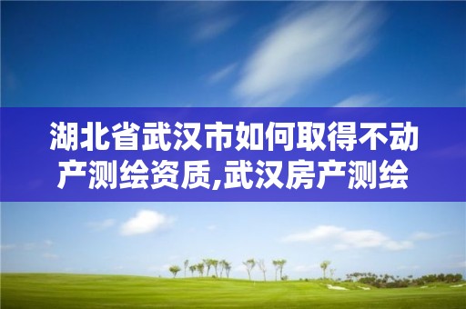 湖北省武漢市如何取得不動產測繪資質,武漢房產測繪中心待遇怎么樣。