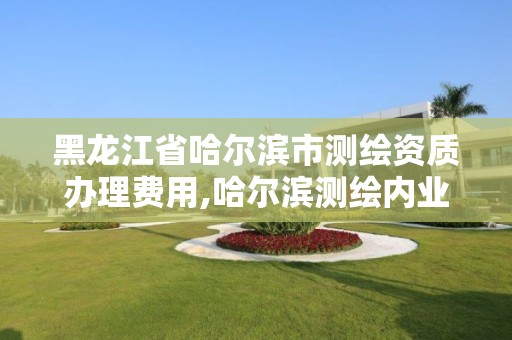 黑龍江省哈爾濱市測繪資質(zhì)辦理費用,哈爾濱測繪內(nèi)業(yè)招聘信息