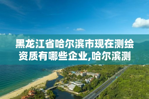 黑龍江省哈爾濱市現在測繪資質有哪些企業,哈爾濱測繪內業招聘信息