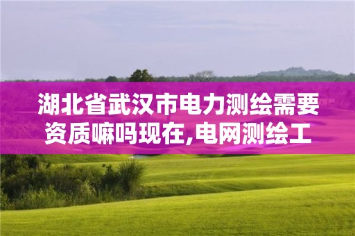 湖北省武漢市電力測繪需要資質嘛嗎現在,電網測繪工作怎么樣。