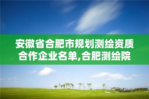 安徽省合肥市規劃測繪資質合作企業名單,合肥測繪院是什么單位。