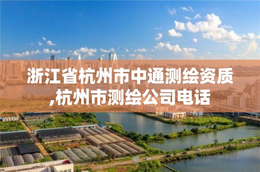 浙江省杭州市中通測繪資質,杭州市測繪公司電話