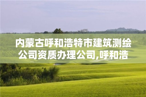 內蒙古呼和浩特市建筑測繪公司資質辦理公司,呼和浩特測繪有限公司